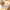 Tablecloth - Spring - Flowers - Bluetabla