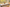 Tablecloth - Spring - Flowers - Bluetabla
