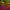 Tablecloth - Poppy - Dark - BlueTabla