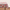 Light cream tablecloth with pomegranate and floral pattern laid flat