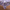 Tablecloth – Lilac - Light - BlueTabla
