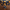 Tablecloth - Lemon - BlueTabla