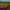 Tablecloth - Poppy - Dark - BlueTabla