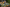 Tablecloth - Lemon - BlueTabla