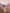 Tablecloth - Qvevri - White - BlueTabla