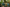 Tablecloth - Bagrationi - Turquoise - BlueTabla