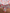 Light cream tablecloth with pomegranate and floral pattern laid flat